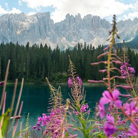 Moseralm Dolomiti Hotel Welschnofen